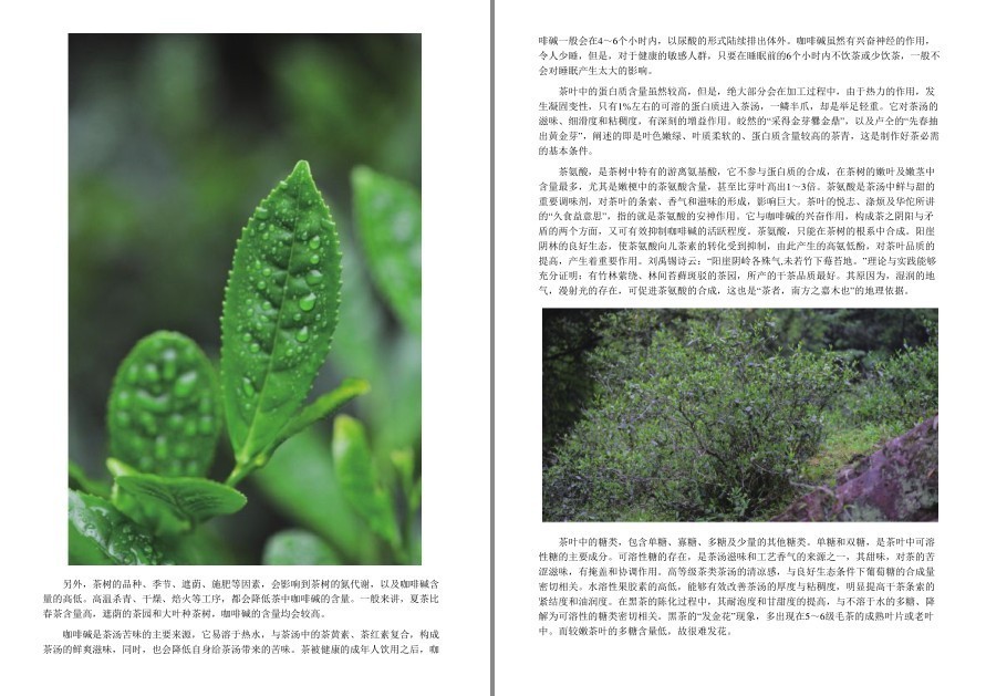 QQ截图20220919120238.png