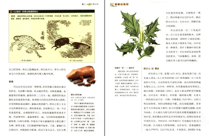 QQ截图20221221130204.png