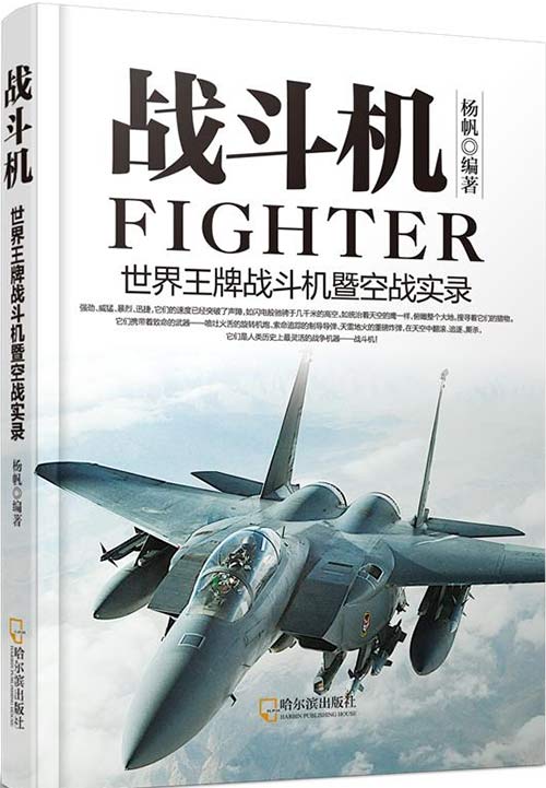 战斗机:世界王牌战斗机暨空战实录