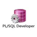 plsql developer14汉化破解版 v14.0.2.1969