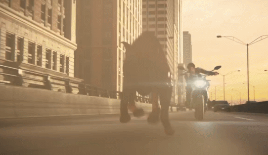 1707185714-86505e95b8188cb.gif 1707185714-86505e95b8188cb.gif