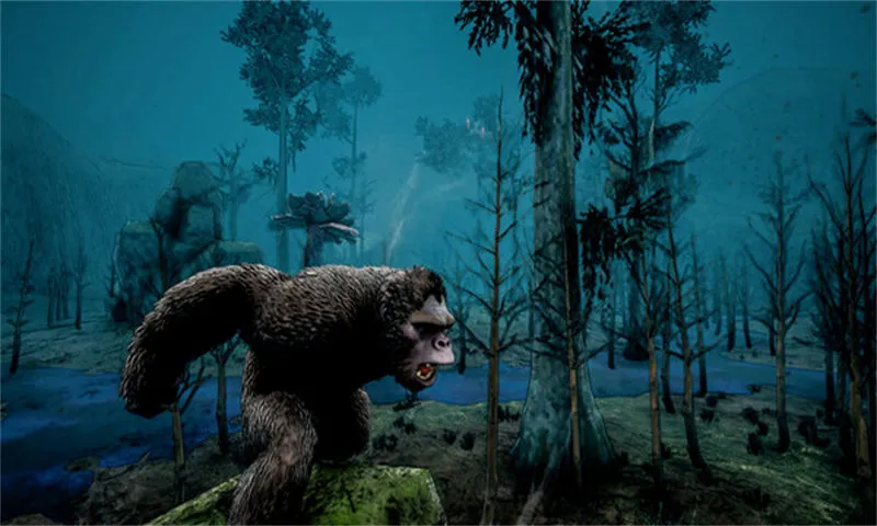 1709464530-3d9c7d1b9b97cc9.jpg 1709464530-3d9c7d1b9b97cc9.jpg