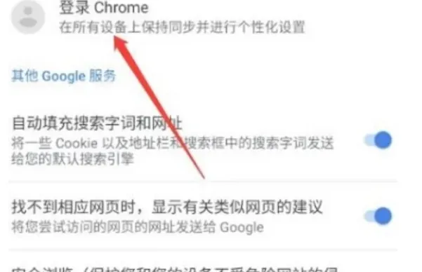 Google浏览器,Google浏览器最新下载